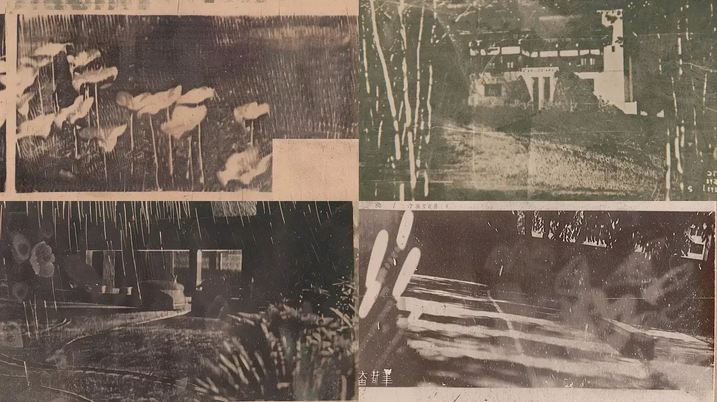 Muted Historical Aesthetic with Photographic Grain and Organic Elements - Midjourney sref style