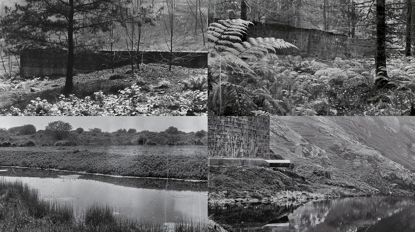 Monochromatic Contemplations of Nature's Tranquility - Midjourney sref style