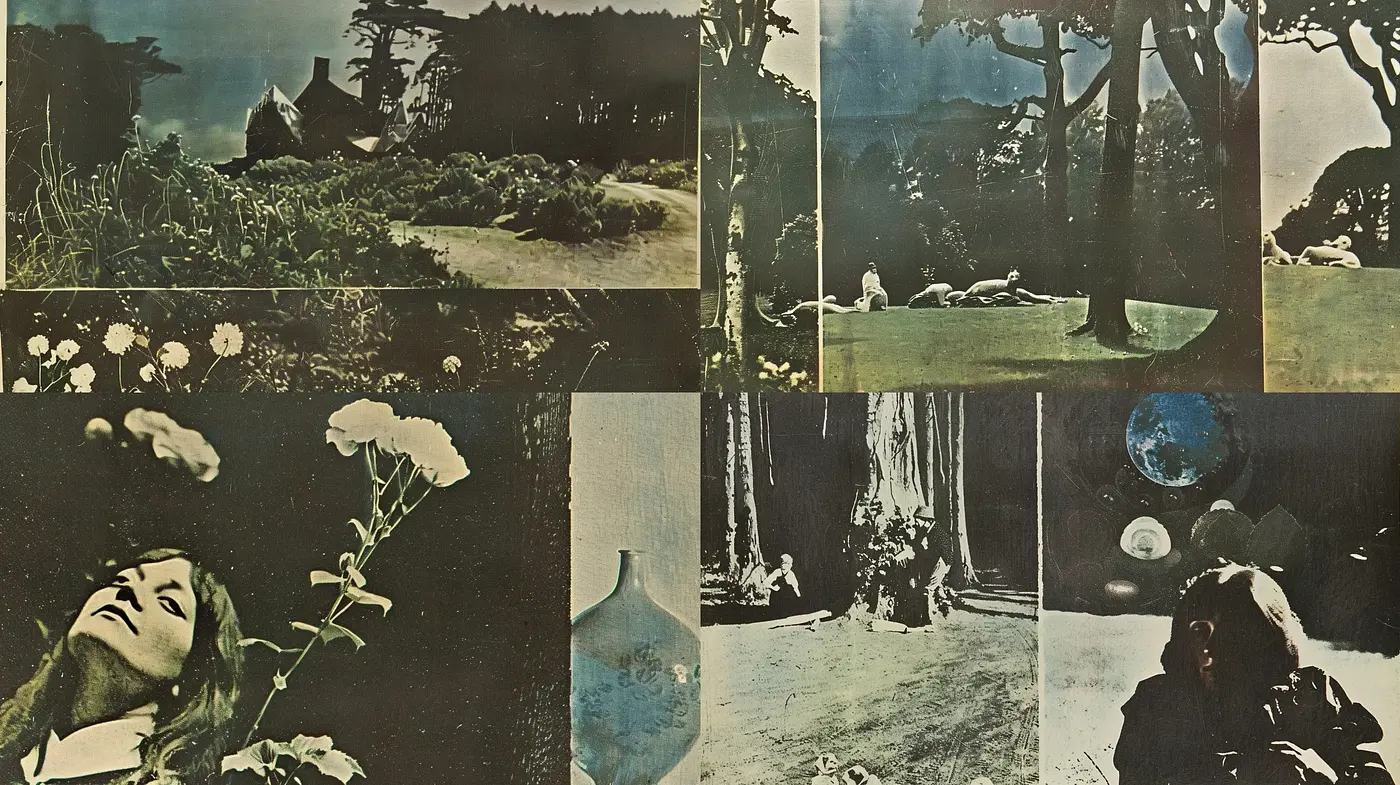 Ethereal Nature Montage in Sepia and Verdant Hues - Midjourney sref style