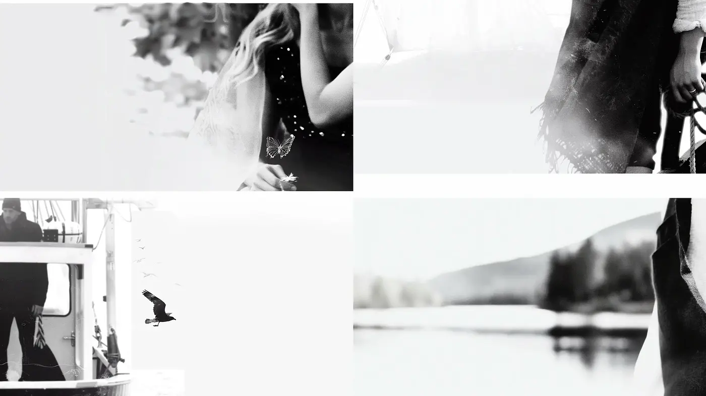 Monochromatic Essence of Serenity and Reflective Simplicity - Midjourney sref style