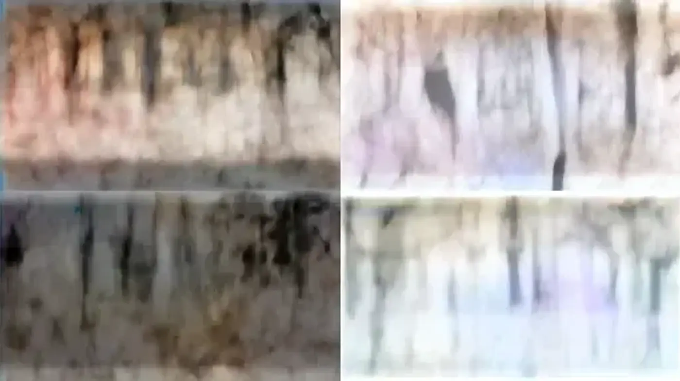 Ethereal Blurred Visions: A Study in Abstract Textural Consistency - Midjourney sref style