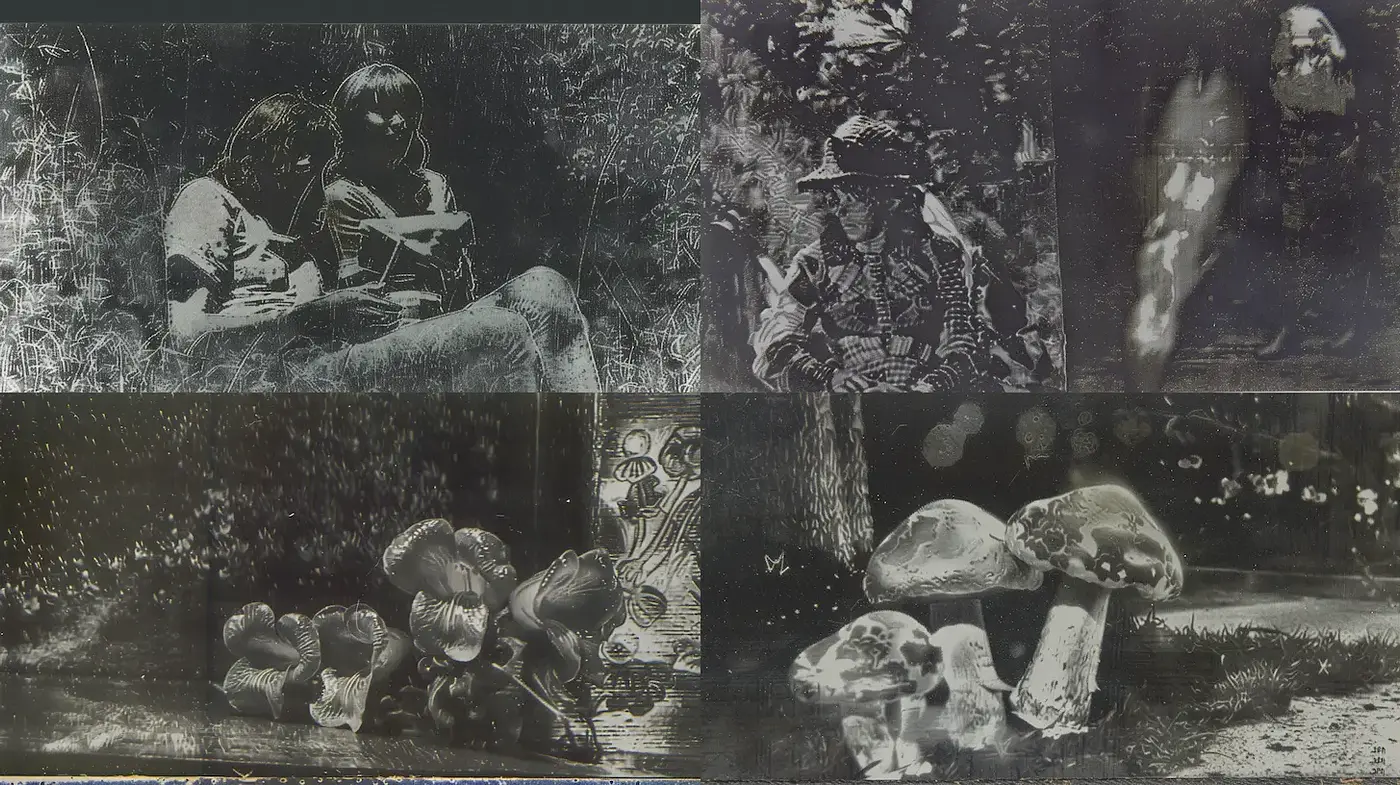 Exploration of Nostalgic Aesthetic through Monochromatic Textures and Organic Shapes - Midjourney sref style
