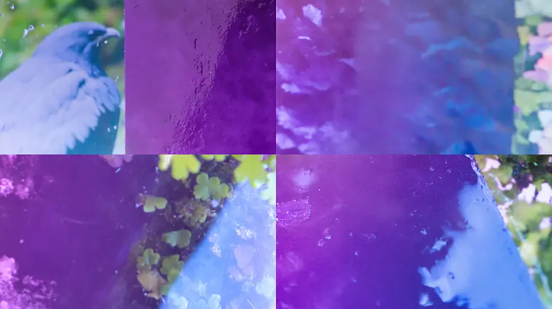 Ethereal and Dreamlike Abstract Imagery with Organic Textures