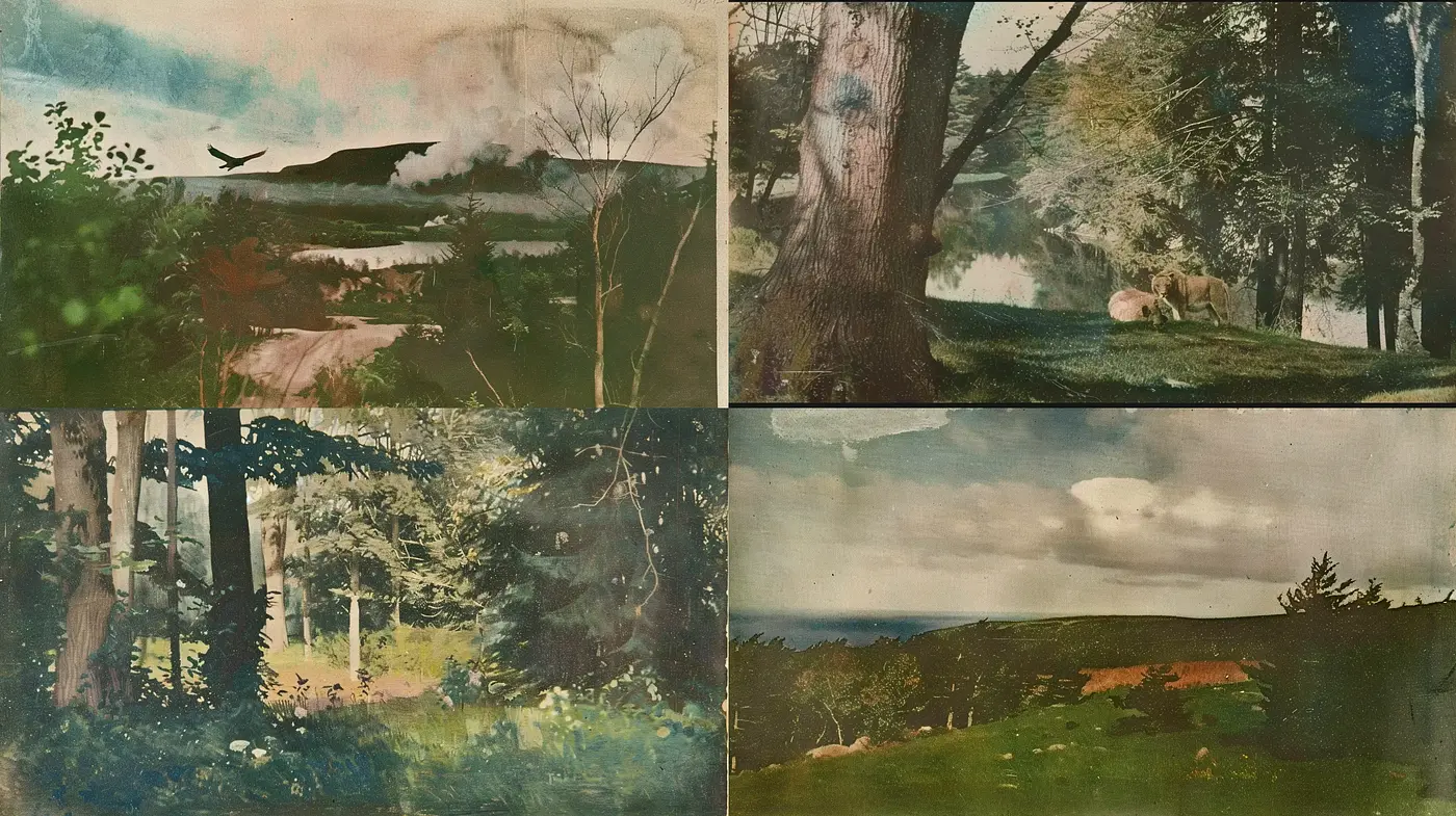Ethereal Landscapes of Muted Tones: A Study in Poetic Tranquility - Midjourney sref style