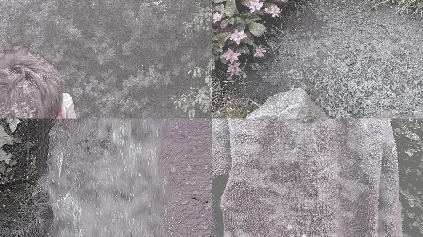 Nature-Inspired Textures with Subtle Monochromatic Tones - Midjourney sref style