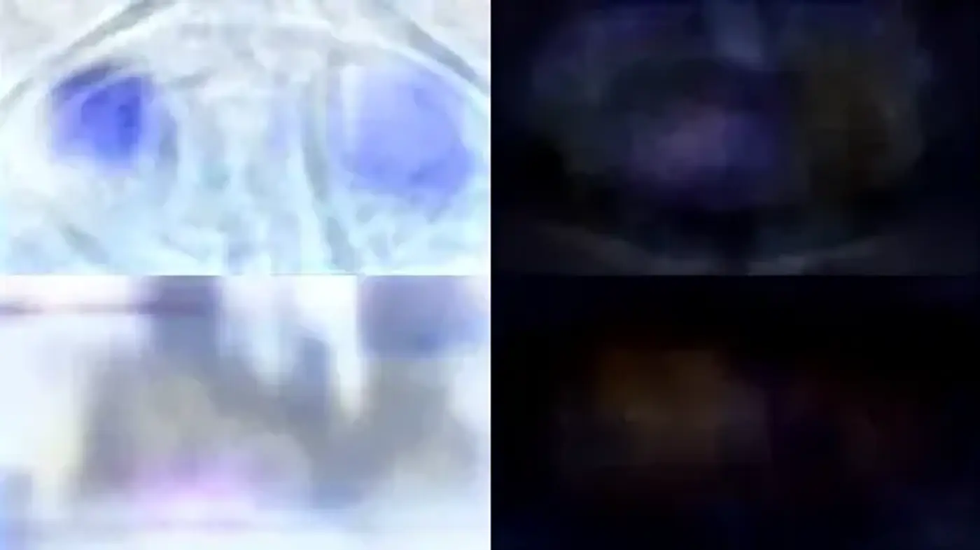Ethereal Hues of Amorphous Dreamscapes - Midjourney sref style