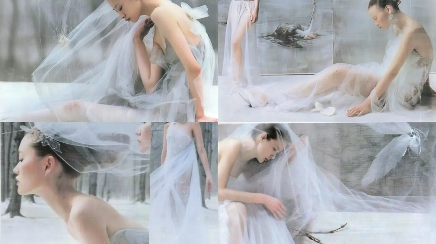 Ethereal Elegance in Monochromatic Whispers - Midjourney sref style