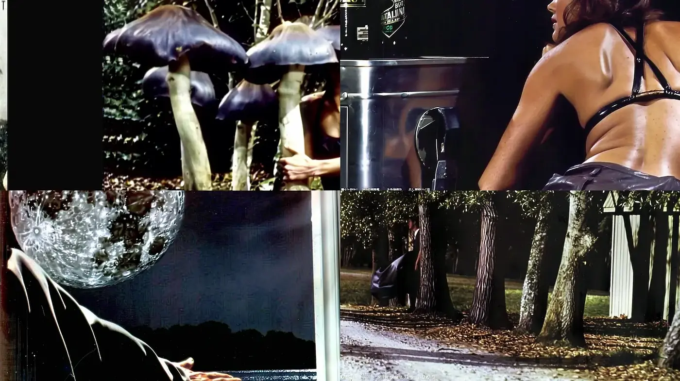 Mysterious and Ethereal Visual Aesthetic with Elements of Surrealism - Midjourney sref style