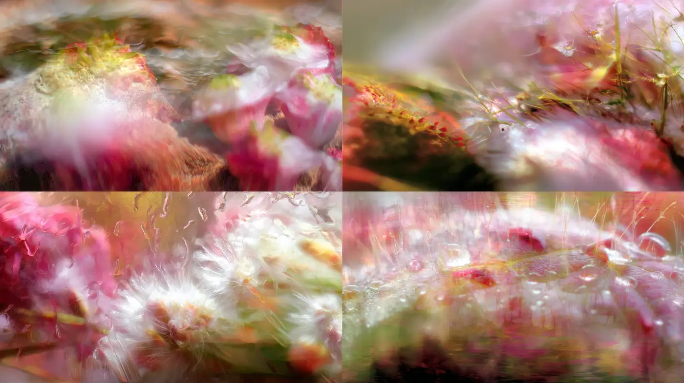 Fluid and Dreamlike Abstract Botanicals with Ethereal Textures - Midjourney sref style