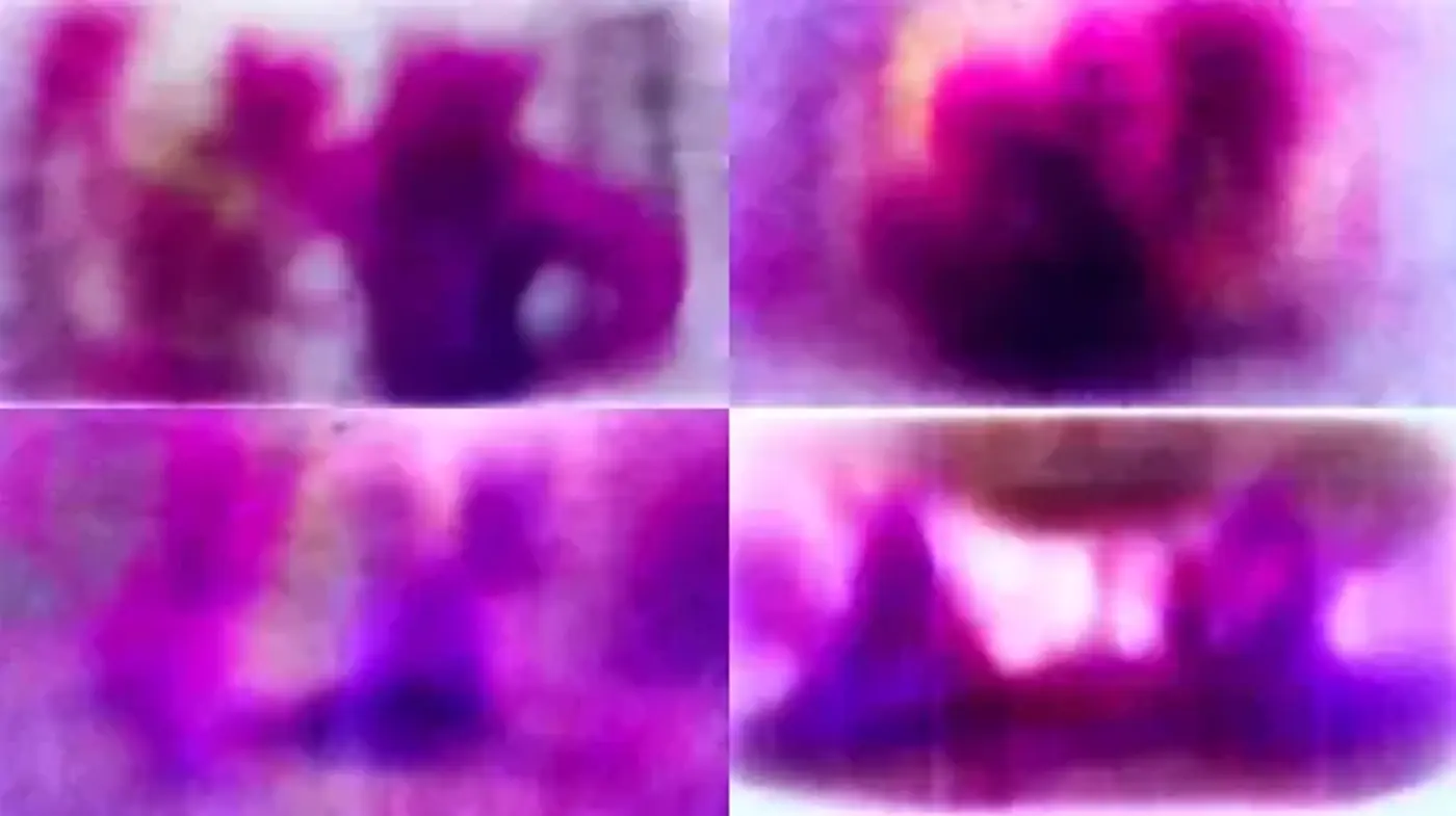 Ethereal Blurs of Magenta Hues – A Homage to Intangible Realms - Midjourney sref style