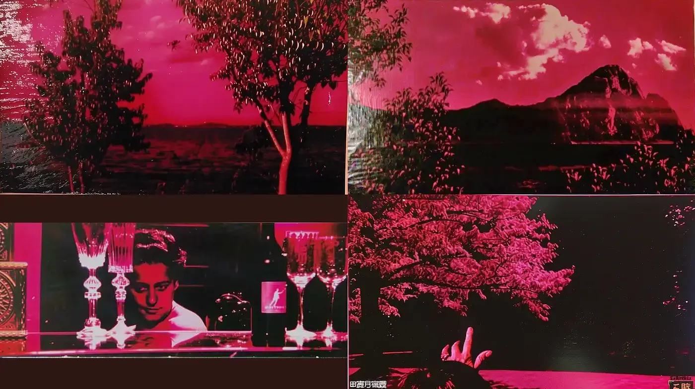 Crimson Dreamscape: A Synthesis of Nightfall and Neon - Midjourney sref style