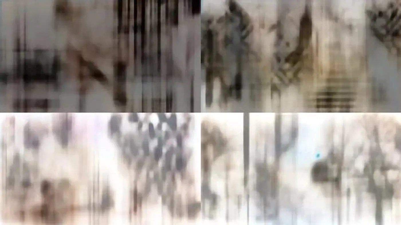 Ethereal Mists of Monochromatic Memory: A Study in Grayscale Ambience - Midjourney sref style