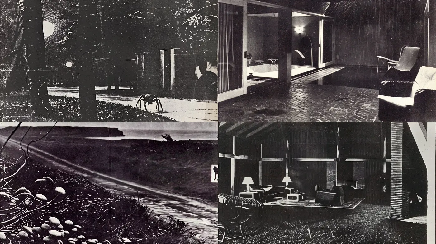 Intriguing Shades of Monochrome: A Study in Noir Textures and Vintage Cinema Aesthetics - Midjourney sref style