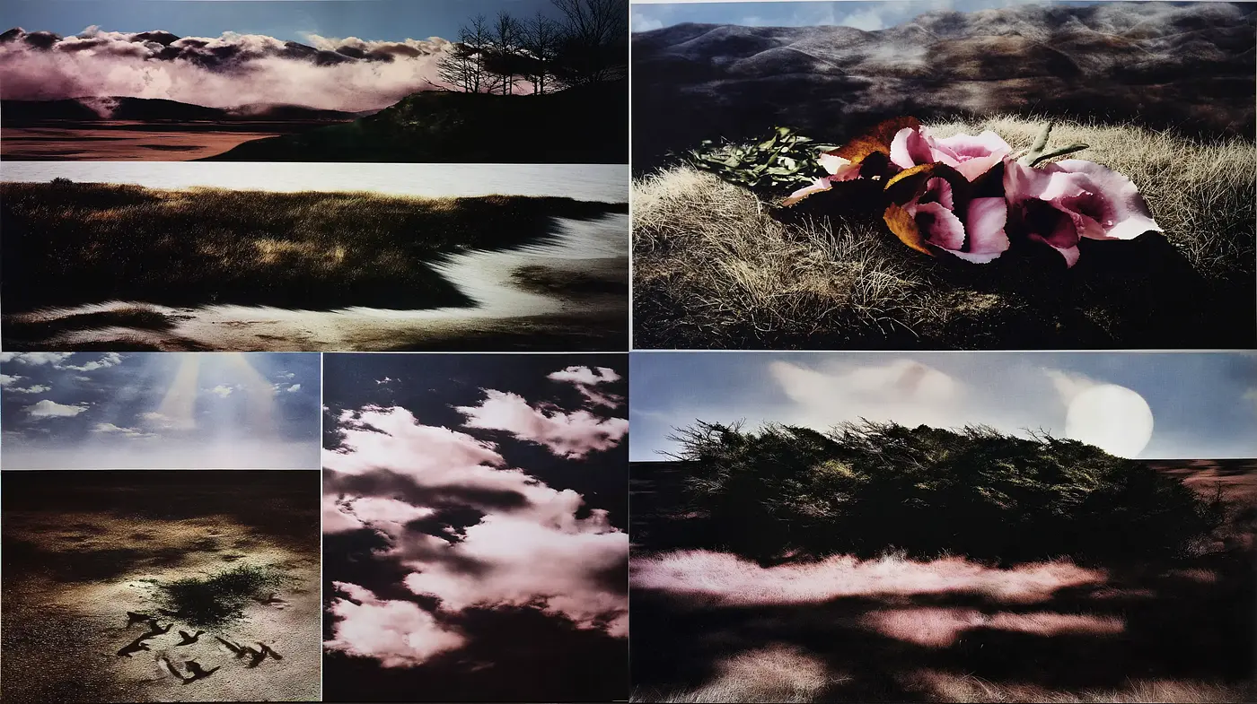 Ethereal landscapes with organic elements and moody atmospheric qualities - Midjourney sref style