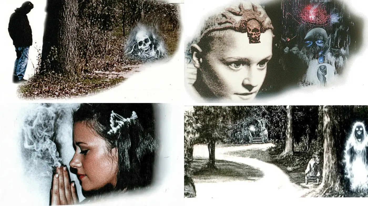 Echoes of Eerie Surrealism: An Exploration of Enigmatic Woodland Mysteries - Midjourney sref style