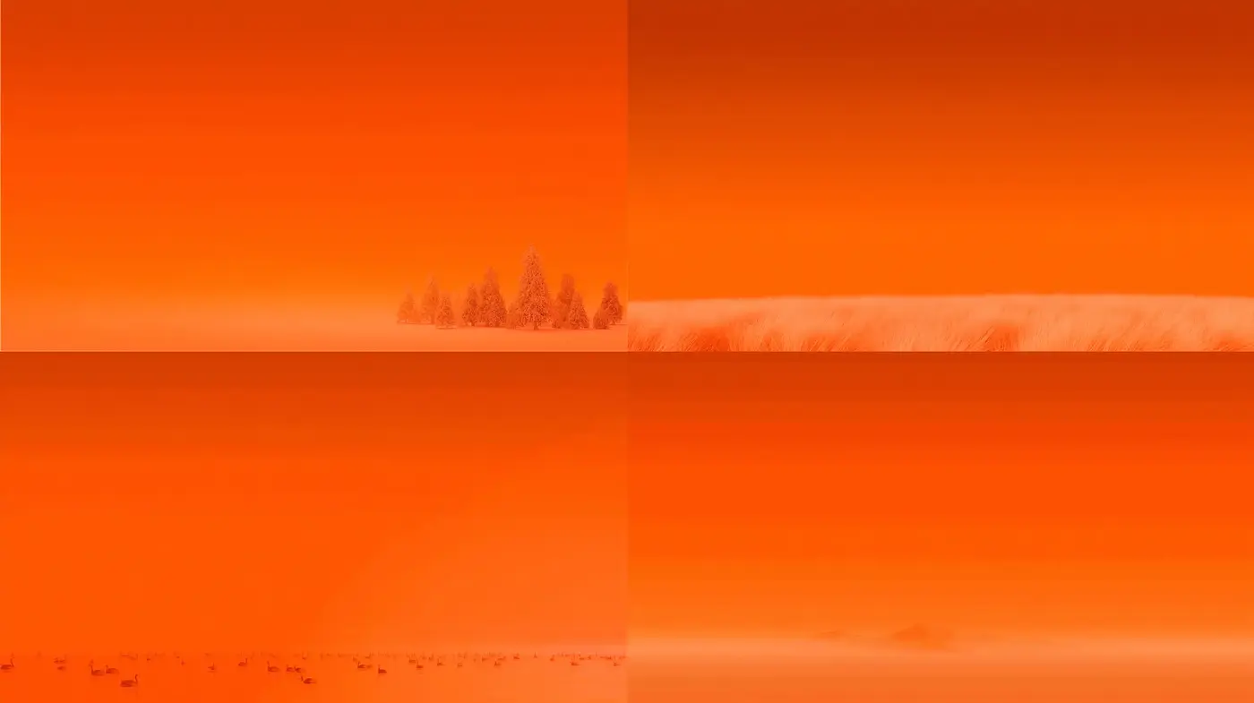 Vibrant and Dreamlike Orange Landscapes - Midjourney sref style