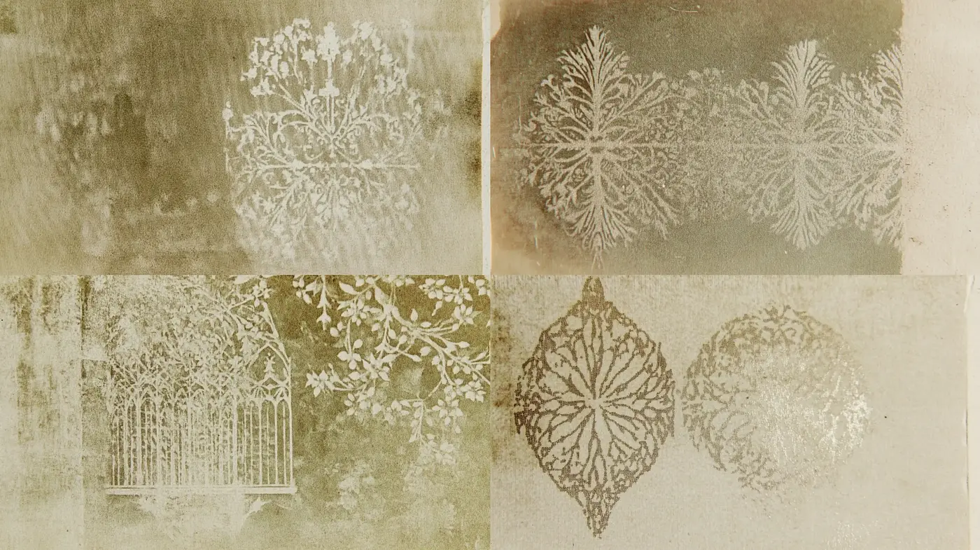 Ethereal Botanical Impressions in Sepia Tone - Midjourney sref style